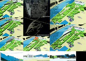 Form Studies From Walking Paths