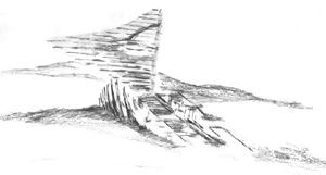 01sketch-01