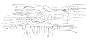 01sketch-04